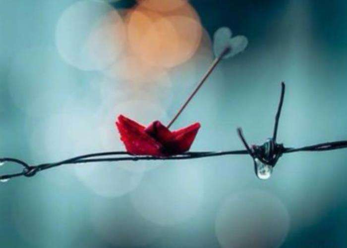 陪你一程念你一生（你陪我一程我念你一生美文）