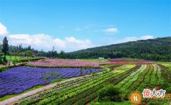 【推荐阅读】男人爱的太深分手的表现,真的在深爱着你