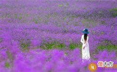 【推荐阅读】下雨天吸引人的朋友圈文案,下雨的有意境的短句子