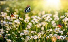 【推荐阅读】教师节祝福老师的句子,对老师辛苦了的祝福语