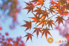 【深度好文】教师节祝语简短,教师节贺卡祝福语大全