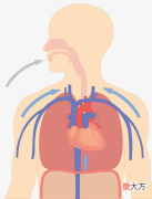 呼吸系统的组成 为什么我们会喘不过气来？