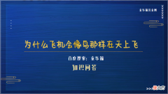 世界上第一架飞机诞生于哪一年 为什么飞机会像鸟那样在天上飞