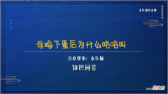 母鸡下蛋后为什么咯咯叫 母鸡为什么会下蛋