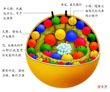 为什么焰火的颜色五彩缤纷？