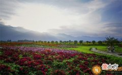 情感|跟中年人恋爱需要注意的细节,谨慎点总没错!