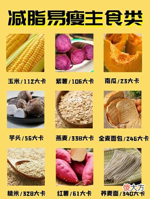 低热量食物有哪些