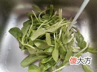 鸡毛菜