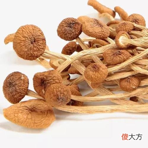 抗肿瘤食物