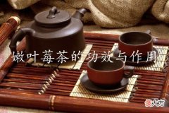 嫩叶莓茶的功效与作用：提升营养吸收、促进新陈代谢