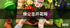 绿公主开花吗